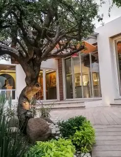 Casa de la Luna - Imagen 14